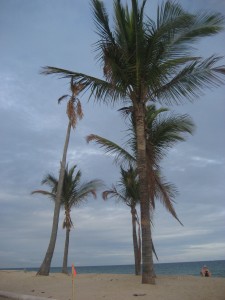 Florida's seaside