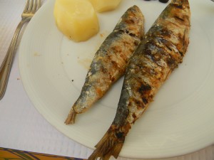 Sardines of Portugal