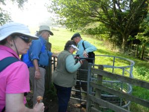 Another important part of the hiking - kissing gates. Since you are hiking straight through sheep/animal enclosures, these are important.